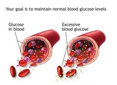 Obat Penyakit Gula Darah Herbal Dan Aman